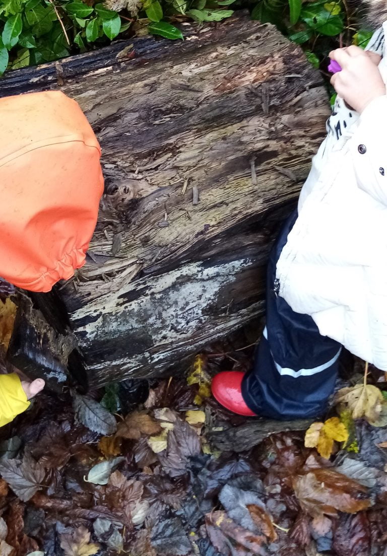 Discovering Math in Nature Through Patterns, Shapes, Natural Materials ...
