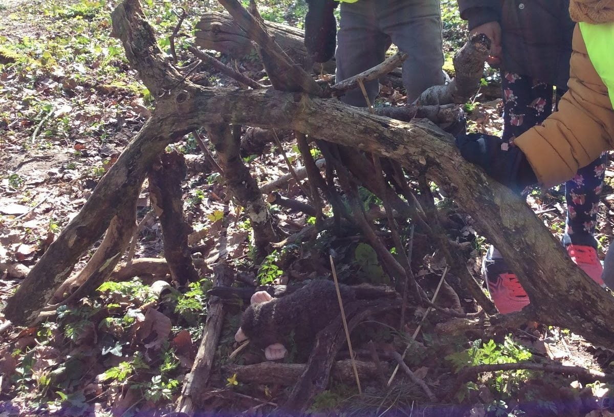 Overcoming Challenges and Teaching Outdoors – Fresh Air Teacher